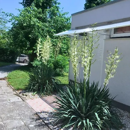 Mikszath Apartman Appartement *